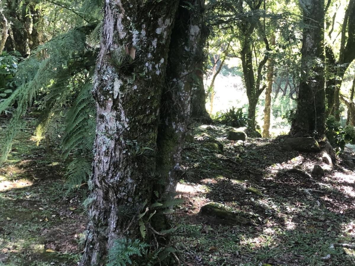 Refugio Da Natureza São Francisco de Paula Eksteriør billede