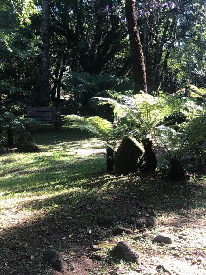 Refugio Da Natureza São Francisco de Paula Eksteriør billede